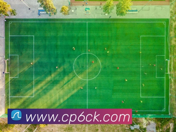 彩神争霸官网APP 高清赛事图